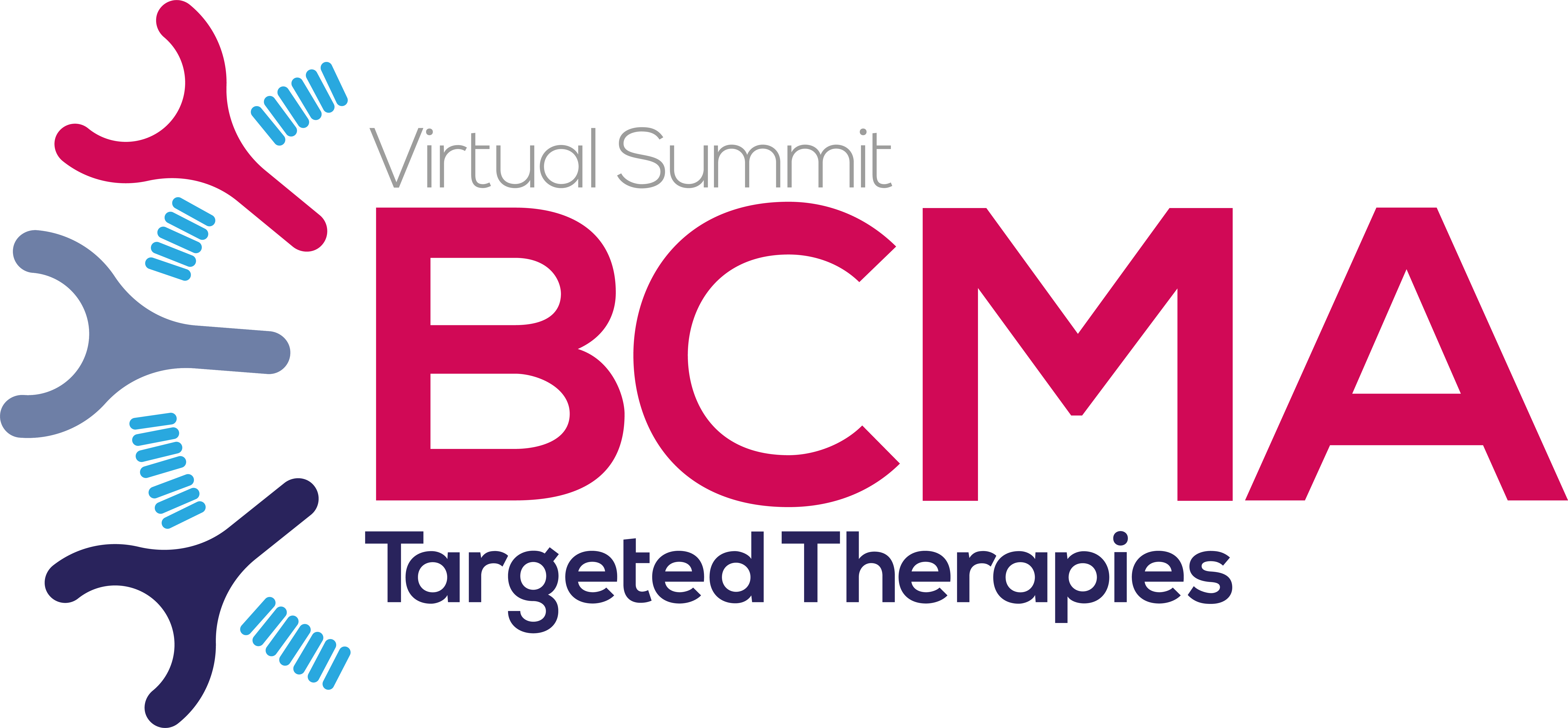HW201120 BCMA Targeted Therapies logo FINAL
